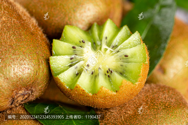 獼猴桃