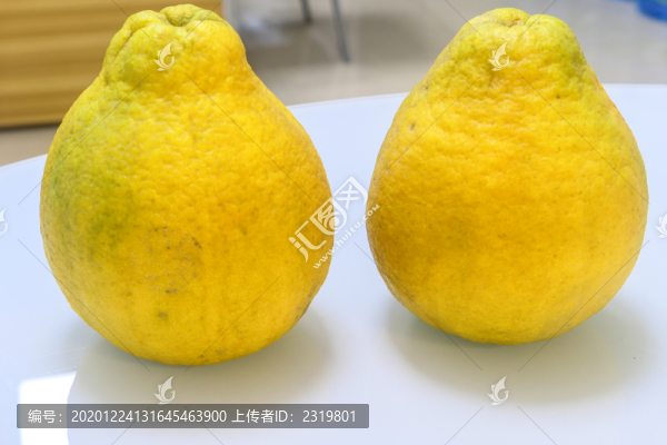 兩只蜜柚