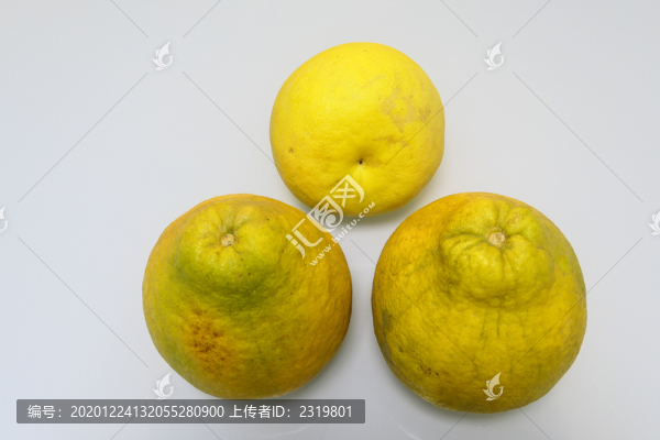 三只黃金柚
