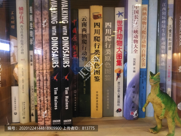 昆蟲書籍