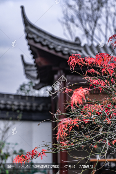 大院亭臺(tái)