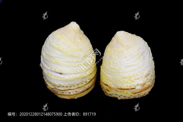 竹筍