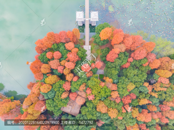 湖北武漢東湖風景區(qū)深秋初冬風光