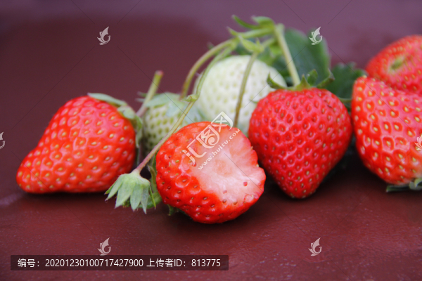 草莓鮮圖