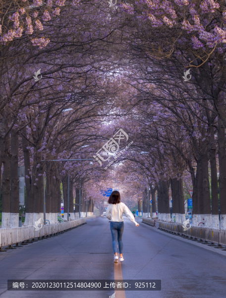 女生背影花路