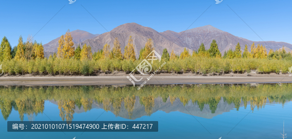 雅魯藏布江秋色