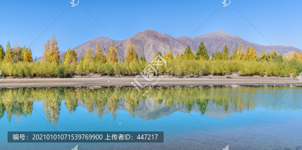 雅魯藏布江秋色