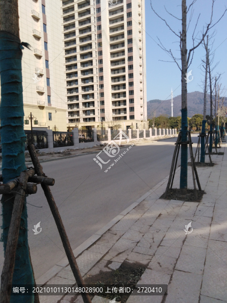 植樹(shù)