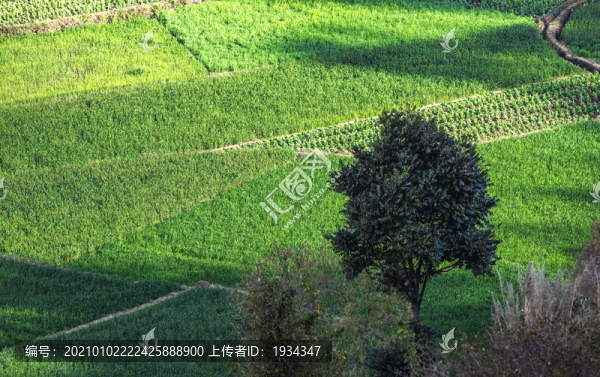 老成昆線(xiàn)上昆明至元謀的扶貧列車(chē)