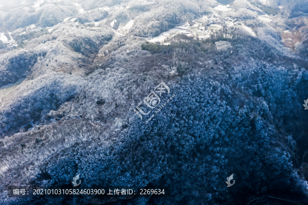 冬季雪景
