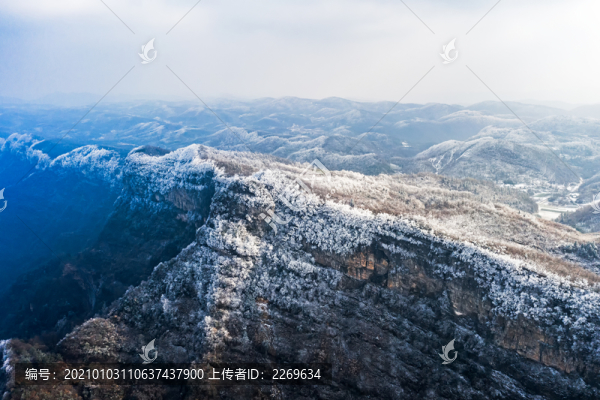 冬季雪景