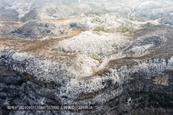 冬季雪景