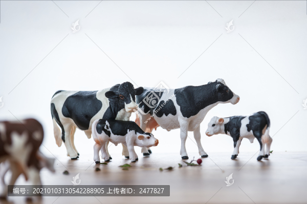 牛的一家