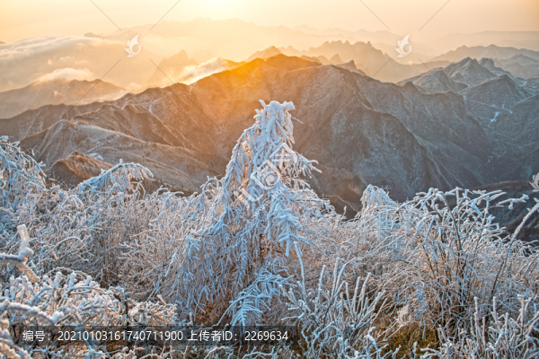 五峰獨(dú)嶺雪景
