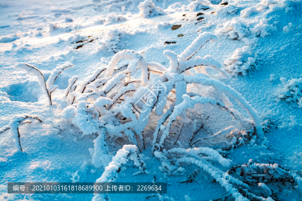 五峰獨(dú)嶺雪景