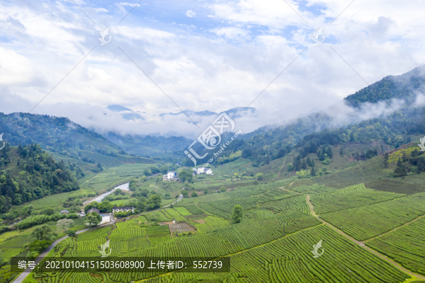 武夷山航拍茶山