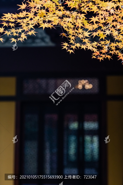 杭州凈慈寺秋色