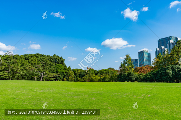 上海世紀(jì)公園