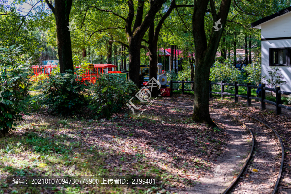 上海共青森林公園小火車