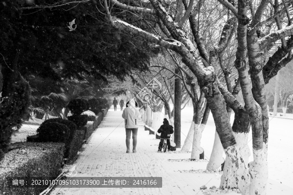 雪景