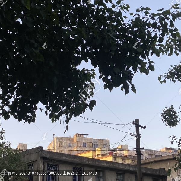 清晨