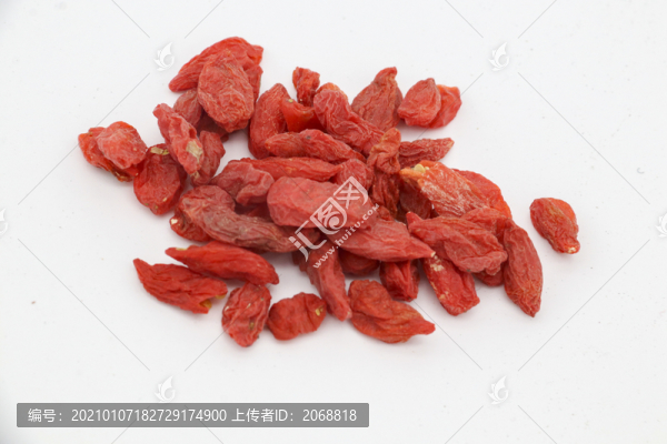 枸杞