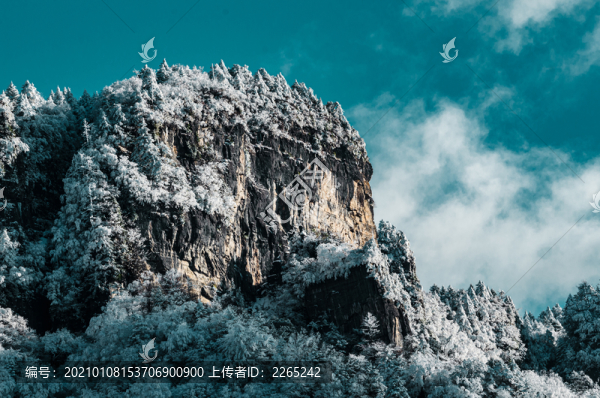 天燕雪季