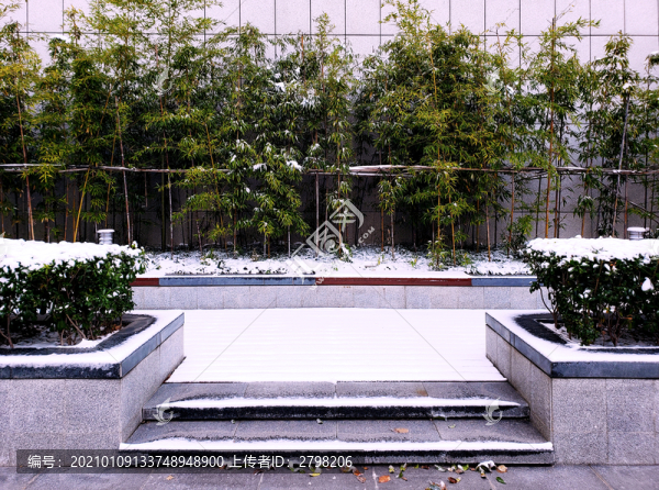 白雪覆蓋的樹池