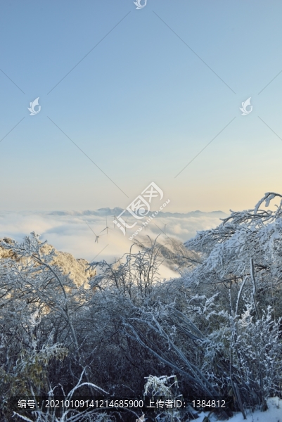 五峰獨嶺云海雪景風光