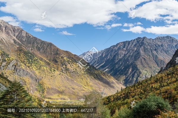察隅秋色