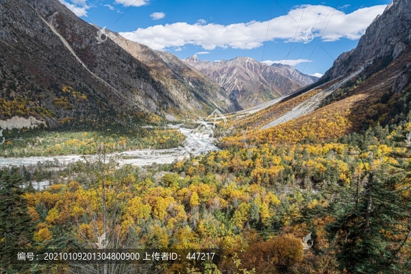 察隅秋色
