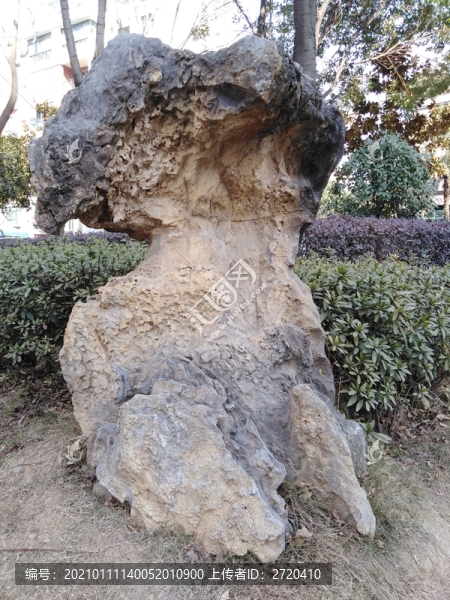 石頭