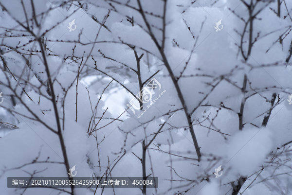 積雪