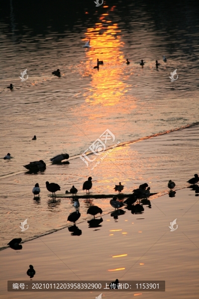 夕陽(yáng)倒影