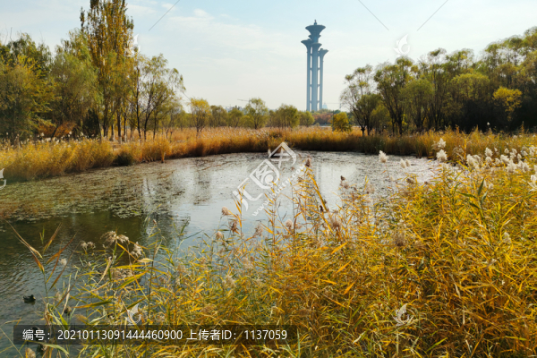 奧森公園的秋天