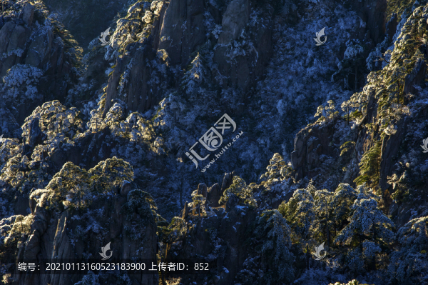 黃山冬景