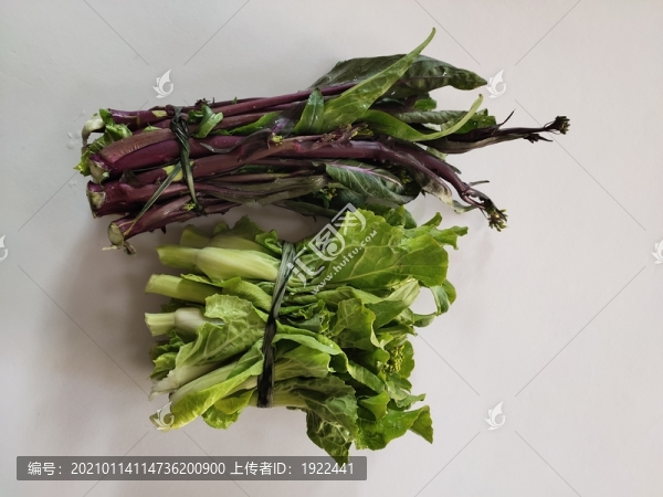 新鮮蔬菜