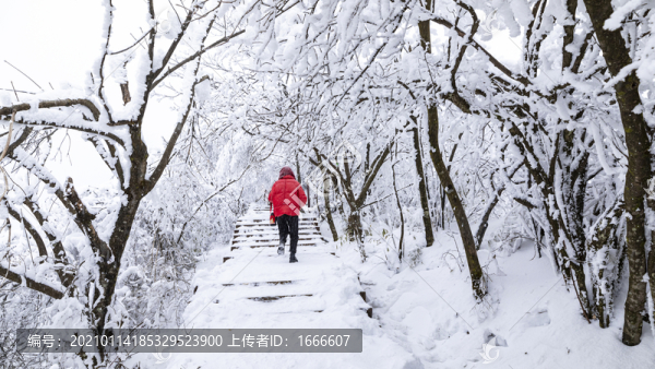 香爐山雪景