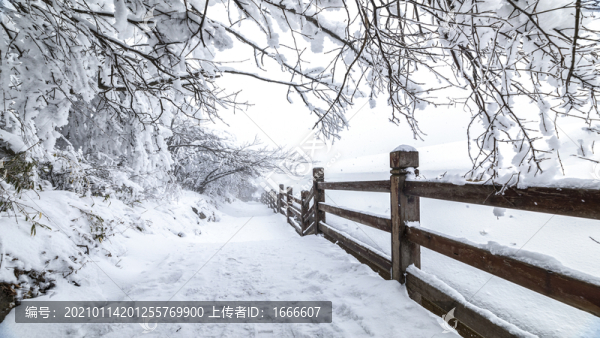 冬季雪景