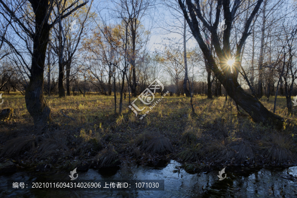河邊秋景