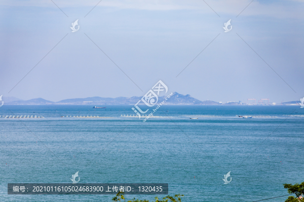 青島嶗山海濱山林植被