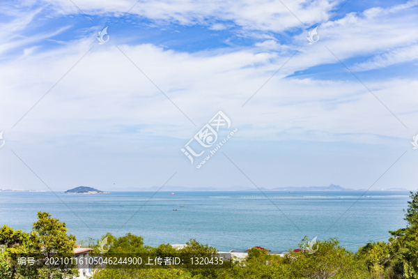 青島嶗山海濱森林植被
