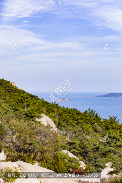 青島嶗山海濱山林植被