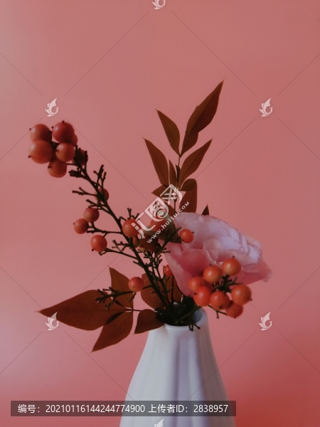 花瓶插花靜物