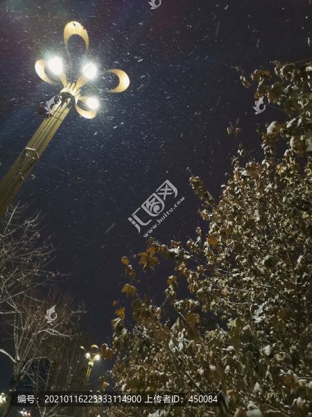 夜雪