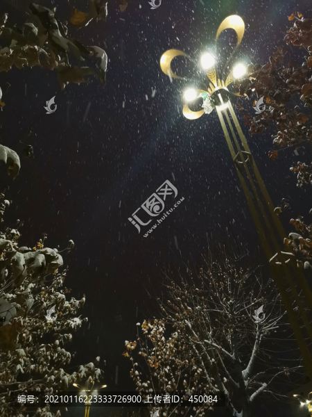 夜雪
