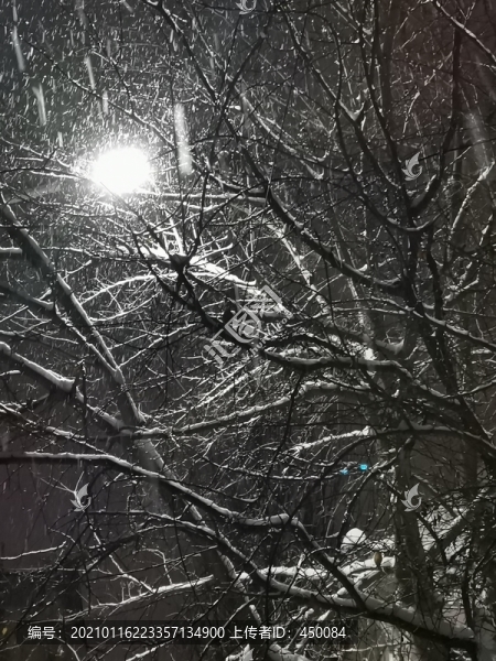 大雪