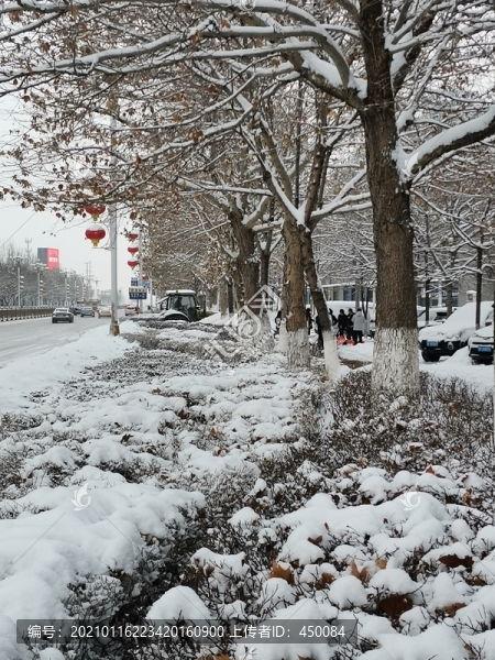 大雪