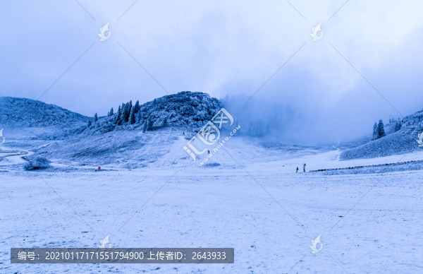 重慶金佛山雪白的童話世界