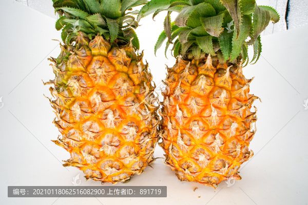 新鮮菠蘿